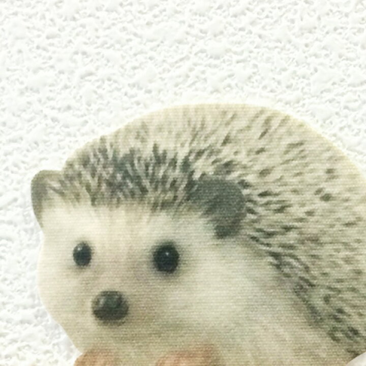 楽天市場 ハリネズミ カラーウォールステッカー Animal Life ハリネズミ スタンダードa はりねずみ Hedgehog 雑貨 インテリア 壁 シール どうぶつ 動物 ペット グッズ Toyo Labo Shop