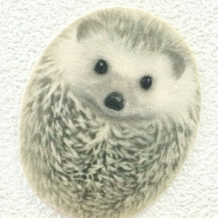 楽天市場 ハリネズミ カラーウォールステッカー Animal Life ハリネズミ スタンダードc はりねずみ Hedgehog 雑貨 インテリア 壁 シール どうぶつ 動物 ペット グッズ Toyo Labo Shop