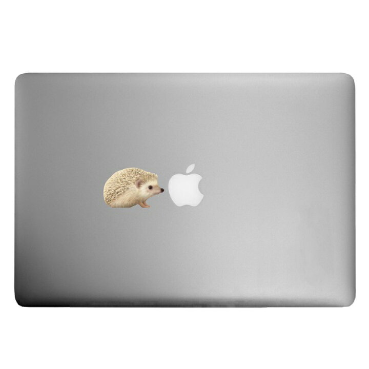 楽天市場 ハリネズミ カラーウォールステッカー Animal Life ハリネズミ シナモンa はりねずみ Hedgehog 雑貨 インテリア 壁 シール どうぶつ 動物 ペット グッズ Toyo Labo Shop