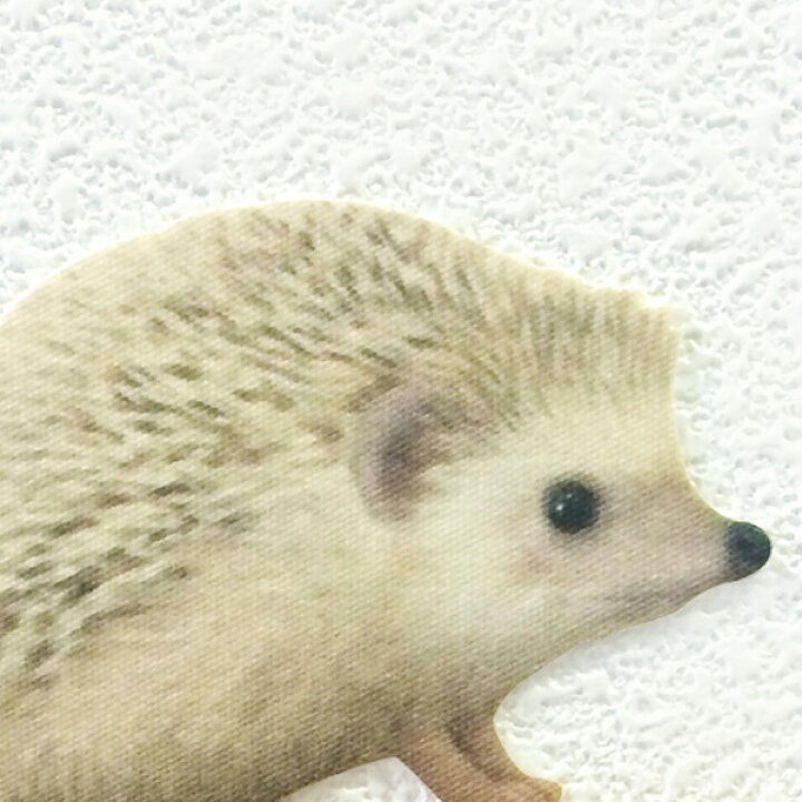 楽天市場 ハリネズミ カラーウォールステッカー Animal Life ハリネズミ シナモンa はりねずみ Hedgehog 雑貨 インテリア 壁 シール どうぶつ 動物 ペット グッズ Toyo Labo Shop