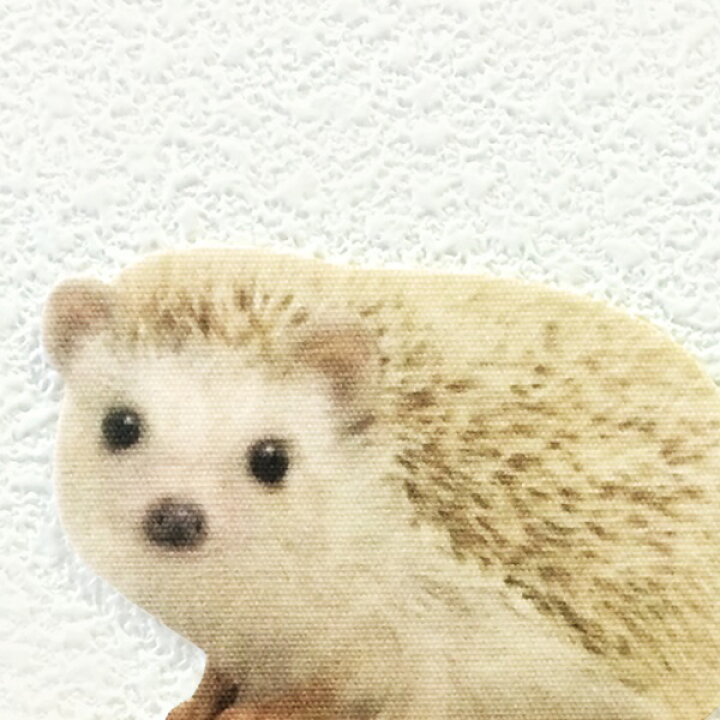 楽天市場 ハリネズミ カラーウォールステッカー Animal Life ハリネズミ シナモンb はりねずみ Hedgehog 雑貨 インテリア 壁 シール どうぶつ 動物 ペット グッズ Toyo Labo Shop 楽天市場 ハリネズミ カラーウォールステッカー Animal Life ハリネズミ シナモンb はりねずみ Hedgehog 雑貨 インテリア 壁 シール どうぶつ 動物 ペット グッズ Toyo Labo Shop