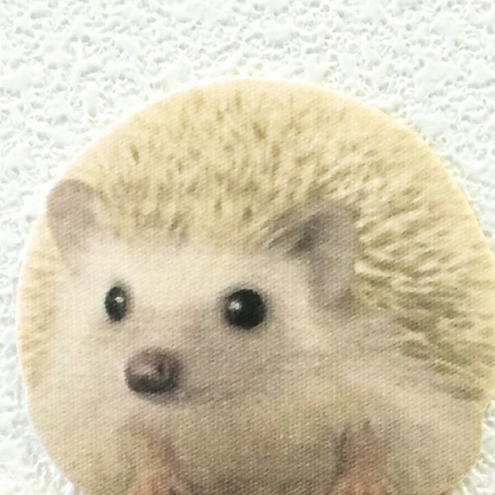 楽天市場 ハリネズミ カラーウォールステッカー Animal Life ハリネズミ シナモンc はりねずみ Hedgehog 雑貨 インテリア 壁 シール どうぶつ 動物 ペット グッズ Toyo Labo Shop