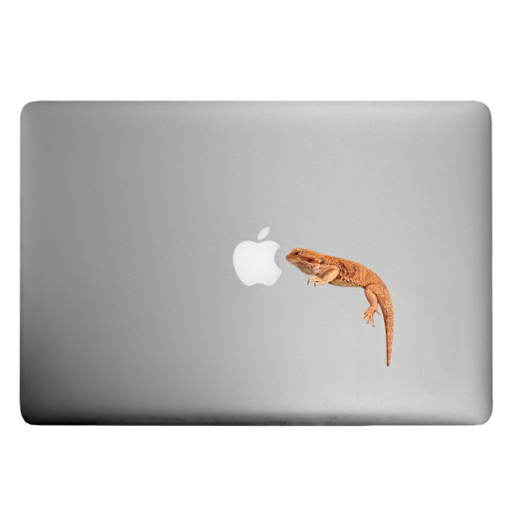 楽天市場 爬虫類 カラーウォールステッカー Animal Life フトアゴヒゲトカゲ レッド フトアゴ トカゲ 雑貨 インテリア 壁 シール ペット Toyo Labo Shop 楽天市場 爬虫類 カラーウォールステッカー Animal Life フトアゴヒゲトカゲ レッド フトアゴ トカゲ 雑貨 インテリア 壁 シール ペット Toyo Labo Shop