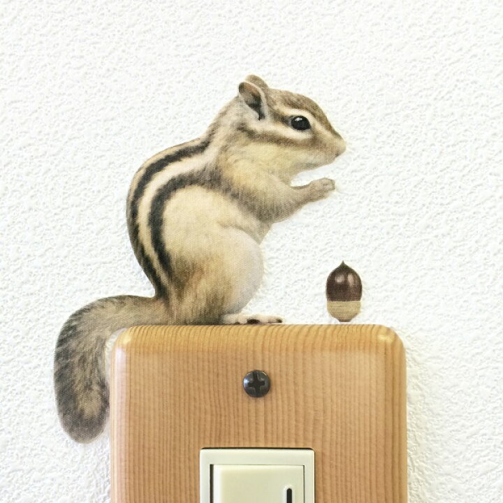 楽天市場 リス カラーウォールステッカー Animal Life シマリス 横向き りす 雑貨 インテリア 壁 シール どうぶつ 動物 ペット 栗鼠 Toyo Labo Shop