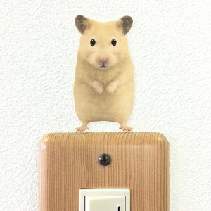 nX^[ J[EH[XebJ[yAnimal LIFE@LN}nX^[ijzS[f G CeA  V[ ǂԂ  ybg ObY