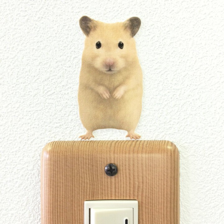 楽天市場 ハムスター カラーウォールステッカー Animal Life キンクマハムスター 立ち ゴールデン 雑貨 インテリア 壁 シール どうぶつ 動物 ペット グッズ Toyo Labo Shop 楽天市場 ハムスター カラーウォールステッカー Animal Life キンクマハムスター 立ち ゴールデン 雑貨 インテリア 壁 シール どうぶつ 動物 ペット グッズ Toyo Labo Shop