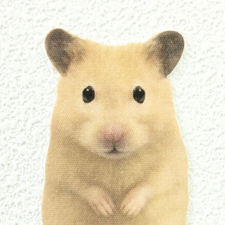 楽天市場】ハムスター カラーウォールステッカー【Animal LIFE 