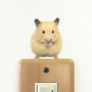 nX^[ J[EH[XebJ[yAnimal LIFE@LN}nX^[iႪ݁jzS[f G CeA  V[ ǂԂ  ybg ObY