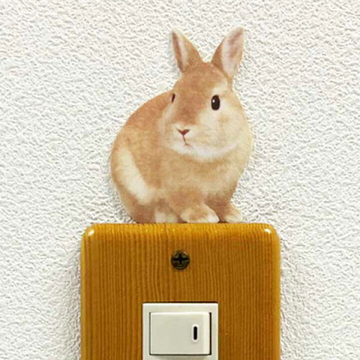 楽天市場 うさぎ カラーウォールステッカー Animal Life ウサギ 見返り ウサギ ネザーランドドワーフ オランダ インテリア 兎 壁 シール うさぎ雑貨 かわいい うさぎグッズ Toyo Labo Shop