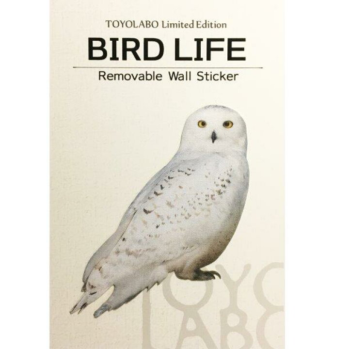 楽天市場 鳥 カラーウォールステッカー Bird Life Color シロフクロウ カラー ふくろう グッズ バードウォッチング フクロウ 野鳥 鳥雑貨 動物 アニマル インテリア 壁 シール Wall Story ウォールストーリー Toyo Labo Shop