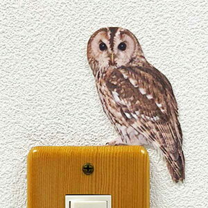 ふくろう ステッカー その他鳥 小動物用ペットグッズの人気商品 通販 価格比較 価格 Com