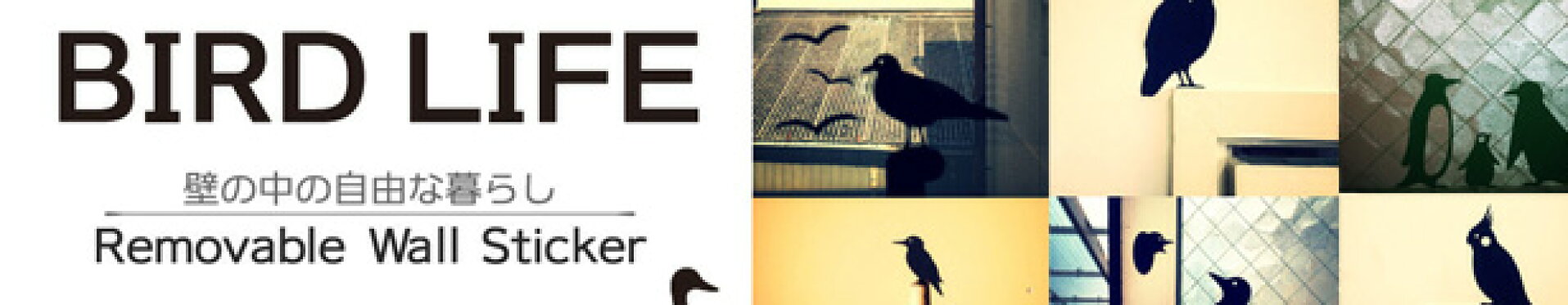 ウォールステッカー BIRD LIFE