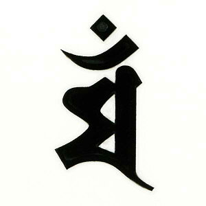  자 \O GV[yF }iwj^K ij 30mmzڂ P[^C X}z iPhone fR XebJ[ J^ iQOS ACRX