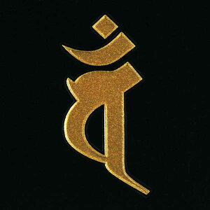  자 \O GV[y@ oiwj^E\ ij 30mmzڂ P[^C X}z iPhone fR XebJ[ J^ iQOS ACRX