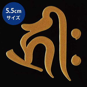  자 \O GV[yɔ@ L[N^E () 55mmzڂ P[^C X}z iPhone fR XebJ[ J^