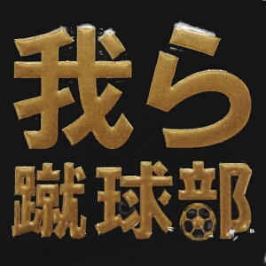 @GV[yRiTbJ[jz P[^C X}z iPhone fR XebJ[@Ԃ ^ iQOS ACRX