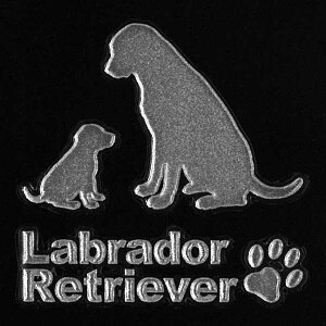  GV[ yLove dog uh[go[ieqj 30mmz  G uhbO XebJ[P[^C X}z iPhone fR XebJ[ iQOS ACRX