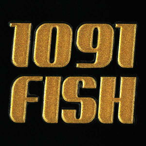 ނ@GV[ y1091 FISH zP[^C X}z iPhone fR ނ XebJ[ ނ    iQOS ACRX