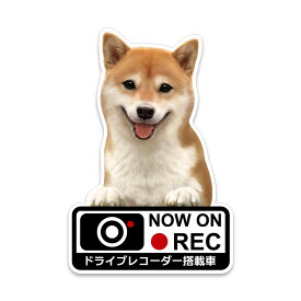 【ドライブレコーダーステッカー ドラレコステッカー 柴犬赤毛】ドライブレコーダー ステッカー あおり運転 危険抑制 防犯 ドラレコ搭載車 録画中 車 シール セキュリティー DRIVE RECORDER car REC 屋外用