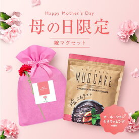 【5/11まで10％OFF】【母の日セット】 嫁にもろてプロテインマグケーキ チョコ 塩キャラメル 抹茶 レモンチーズ ミルクティー 450g 嫁マグ ちゃぴさん監修　約180Kcalでヘルシー