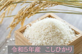 【新米】令和5年産　こしひかり　10kg