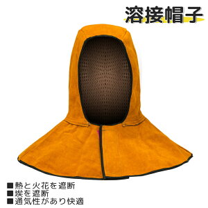 nږXq v n ω ی nڃt[h wbg }XN dCnڍ