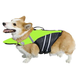 p CtWPbg ̂ ~ ^ ^ ^ t[eBOxXg zF 킢  CtWPbg   nh