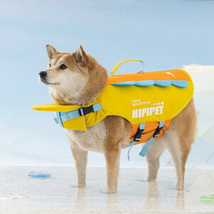 p CtWPbg  ^ ̂ ~ t[eBOxXg ^ ^   dJt y C  V v[V C   jP pCtWPb