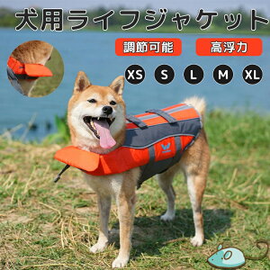 p ^p CtWPbg V ₷ ʋCǂ ߉\WPbg ^ ^ ^  j~ ~} Vїp ̈S ی  ͂D 