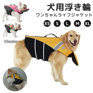 p CtWPbg ybgp ̂  S ^ ^ ^ ^ V v[ C ~ߌp   jp WPbg ̖h~nr  C