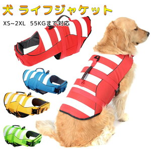  CtWPbg  CtWPbg ^ ^ p ~ V 傫TCY ybg  CtWPbg p hbO ybg S S ^ ^ ^ ^ V