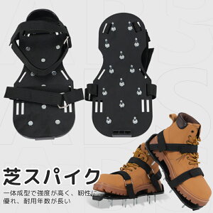 ŃXpCN K[fXpCN XpCNV[Y Ő XpCN   H  J@ GA[V@ J@ 琬   K[f ObY aC p`  Vo C 