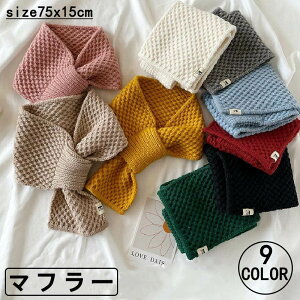 }t[ fB[X ~j}t[  킢 ݃}t[    nw  h  hObY _炩 h jbg}t[ h΍ XJ[t 