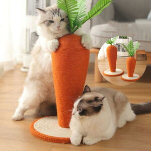 lQ Lp܂Ƃ Lp ܌ ܖ Lbg   ܂Ƃ ^[ CeA ܂Ƃ ^s VRTCU