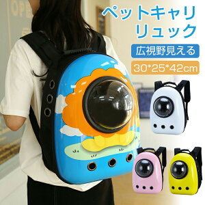 ybgpobNpbN ybgOoobO ybgpi ybgL[bN pm}JvZ pm}ybgL[bN L ybg  h[^ obN bN ybg