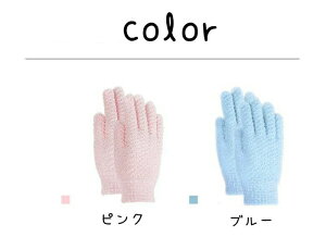 p C 2_Zbg A Cp ̐ V[oXO[u iC C ܖ{w ӂ̐  pi p RۉH