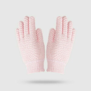 p C 2_Zbg A Cp ̐ V[oXO[u iC C ܖ{w ӂ̐  pi p RۉH