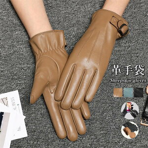 fB[X v U[O[u {v U[ v X}zΉ ^b`plΉ g O[u 킢 U[ p ޏ X}z fB[X N  h ʋ 