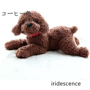 ʂ  v[h  A  { 炩 NbV gCv[h Q  LN^[