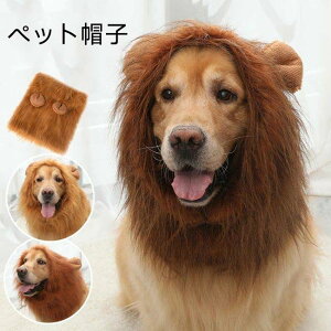 ��蕨 �y�b�g �E�B�b�O ���C�I���ɕϐg �L�p�X�q ���p�X�q �n���E�B�� �y�b�g�E�B�b�O �� �R�X�v�� ���C�I�� �� �R�X�`���[�� ���p ���� ���t�� �y�b�g�� �ϑ��O�b�Y �������낢 �E�B�b�O 