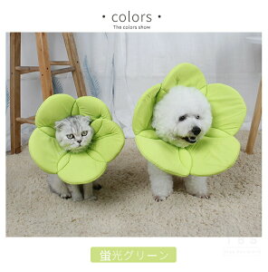 \tgGUxXJ[ ybg GUxXJ[/ȒP veN^[/Lp  L pi /p̏ی Em r h~ PK aC y  _炩 Ch t[ 