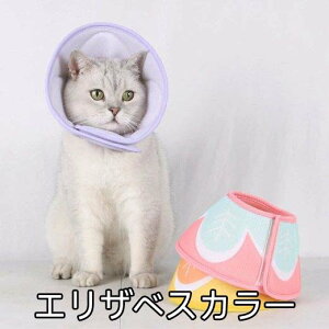 GUxXJ[ _炩 CG[ p[v sN ybg  L \tg^Cv GJ p PK  ی \tg y ^ r r 