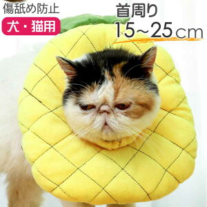  L GUxXJ[ pCibv 15`25cm \tg L GUxXJ[ rߖh~ y 炩  L