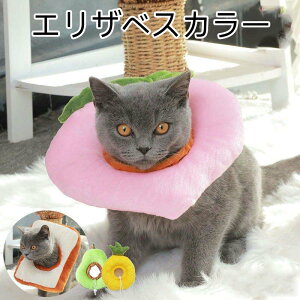 GUxXJ[ \tgGUxXJ[ L lR  Ck ybgpi z Ȃߖh~ p Ђh~ ~h~ ی veN^[ NbV 炩 킢 