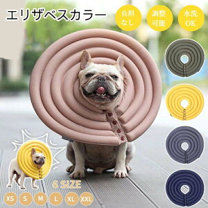 Chh[icGUxXJ[ L ȒP y \tg pi NbV h[ic veN^[ p  p̏ی rߖh~ ~h~ 畆a Ǒ΍ p̃PA