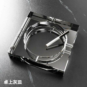 DM NX^ KX DM  傫TCY v[g 蕨 ̓ qObY ItBX Mtg