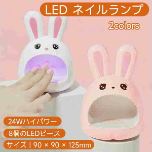 LED lCv 24 bglChC[@~jlCCg|[^ulCA[gc[~jlCvWFlCp