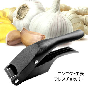 K[bNXCT[ ɂɂXCT[ ݂؂ XCX jjN K[bN`bp[ ɂɂ I 邾 肪Ȃ LȂ ې  炦