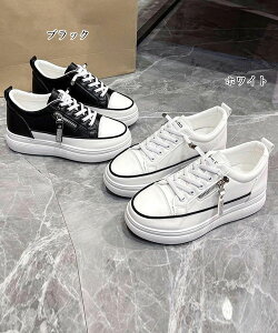 Xj[J[؍ fB[XȂC鏗CX|[c {[\[C Xj[J[