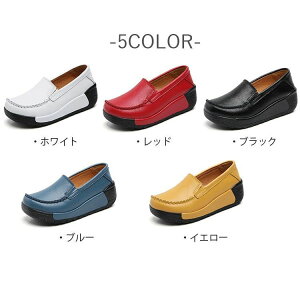 ʋC _炩 K ؂ V[Y C  JVV[Y  {v JV[t@[  RtH[gV[Y 傫TCY t 킢 5cm y JV fB[X
